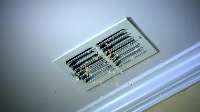 Best Ductwork Cleaning Services  in Abbeville, GA