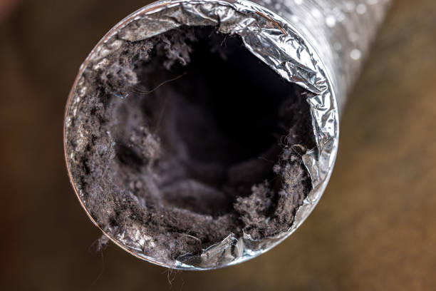 Best Home Air Vent Cleaning  in Abbeville, GA