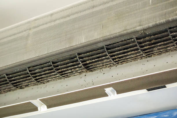Best Residential Air Duct Cleaning  in Abbeville, GA